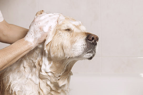 Alleviate itchy, scratchy, skin with a special bath