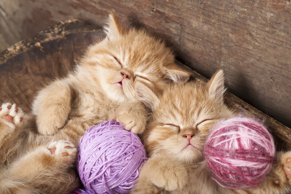 Ball Of Yarn