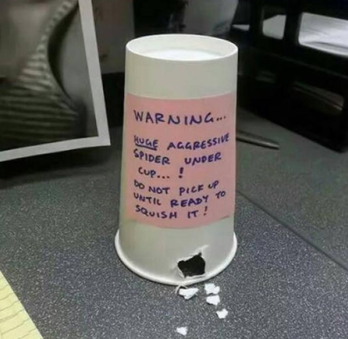 office-jobs-are-hilarious-these-photos-prove-it-dailyforest-page-47