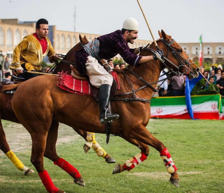 Playing Polo