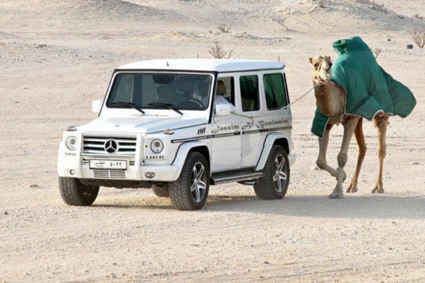 From Camels To Cars