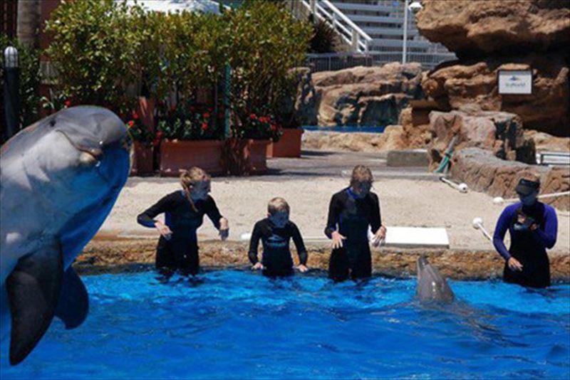 Crashing Swim Class