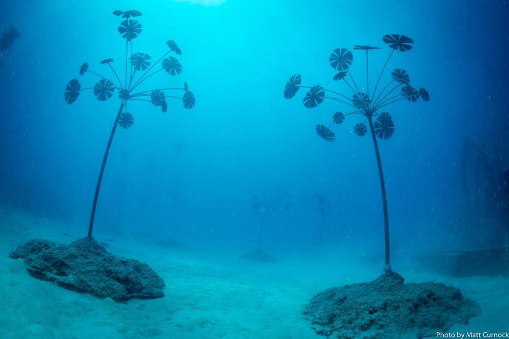 Underwater Greenhouse