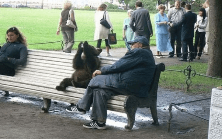 Las Mascotas En Rusia