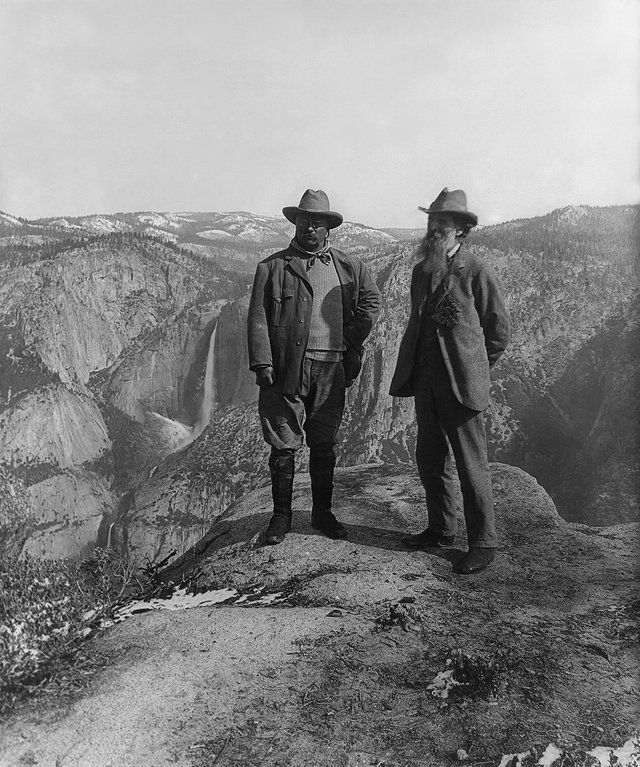 Teddy En Yosemite