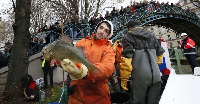 Seguían Saliendo Pescados