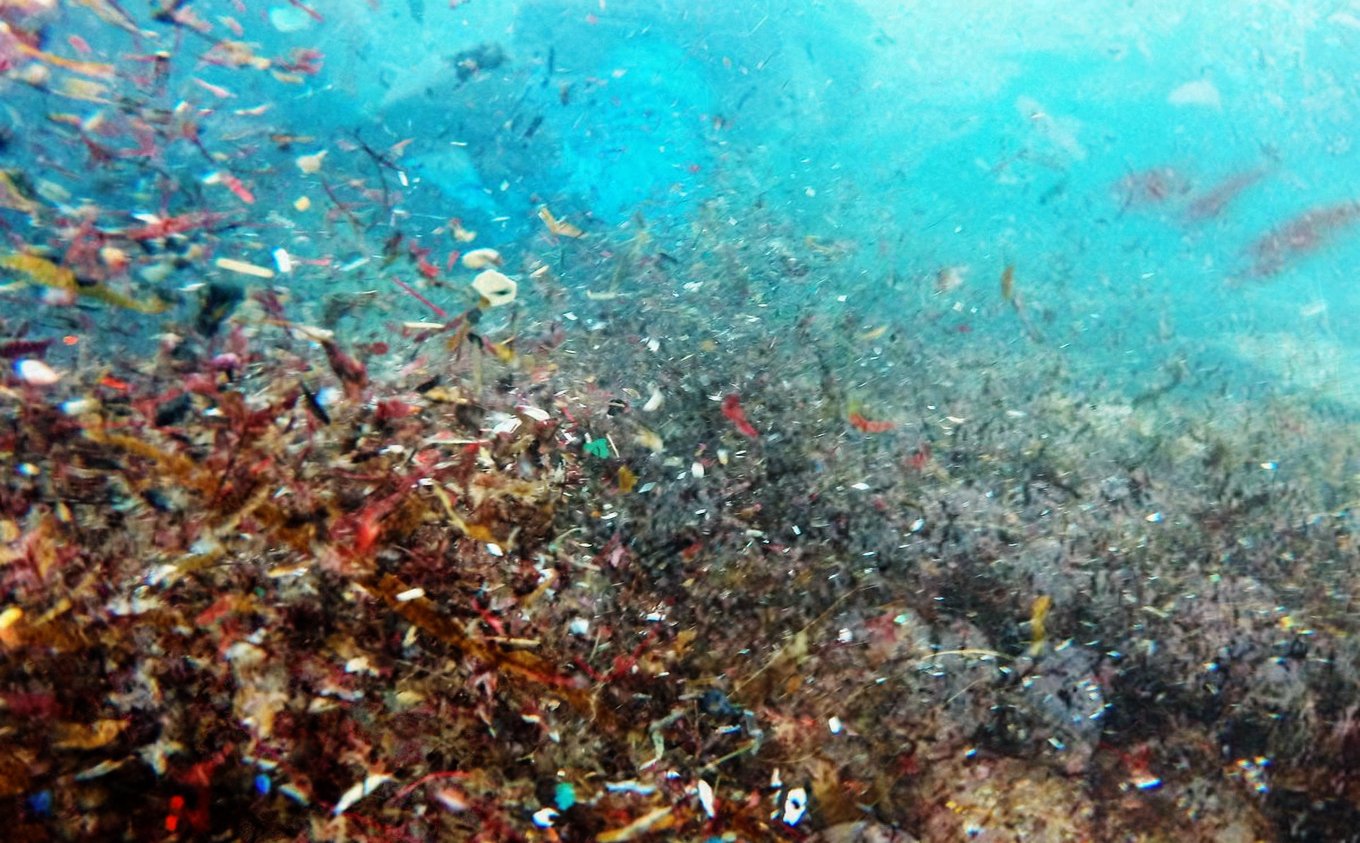 Microplastic In The Ocean