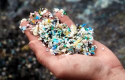 Microplastic Is The Invisible Enemy