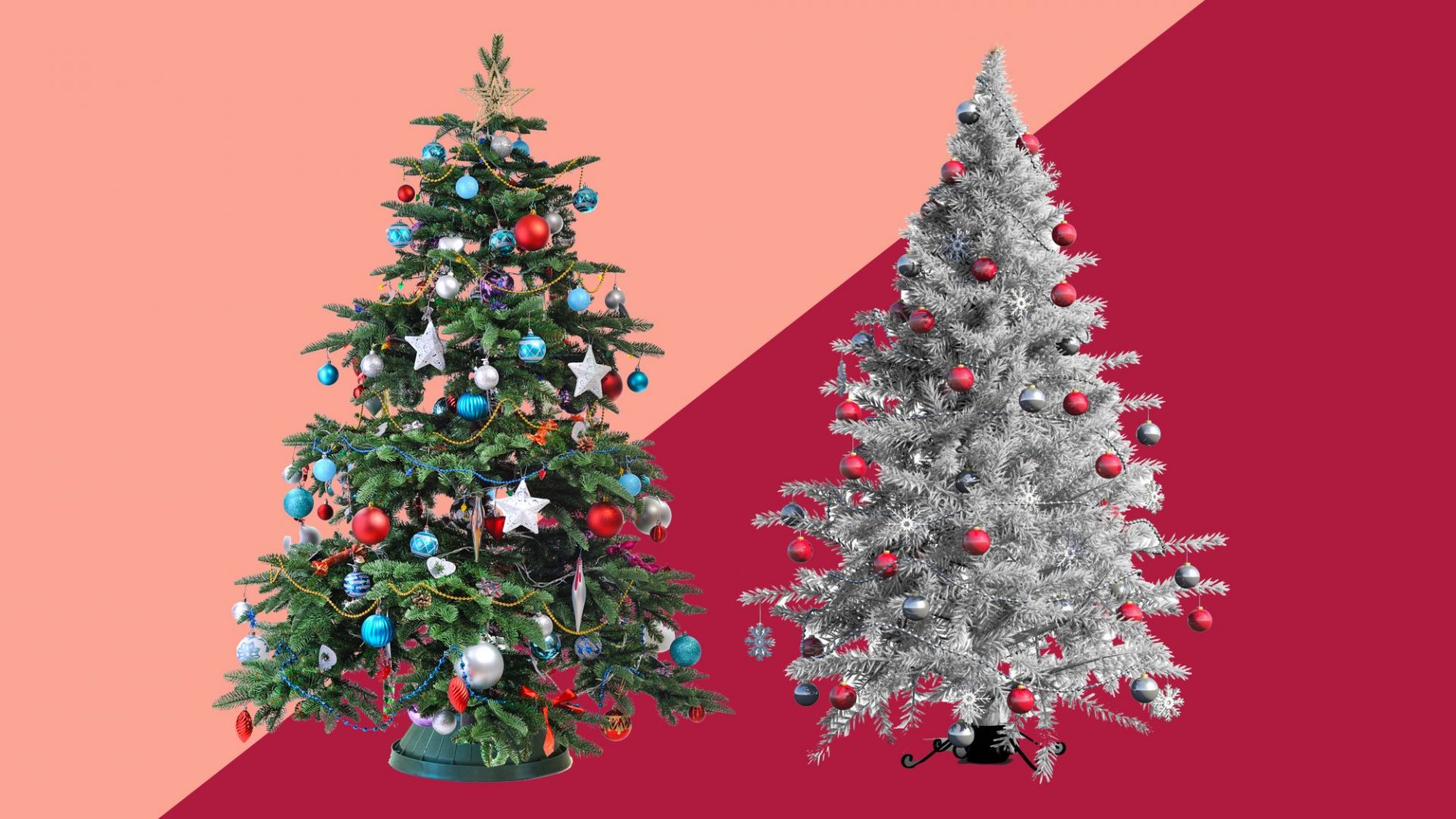 which-are-actually-better-for-the-environment-real-or-fake-christmas-trees-dailyforest