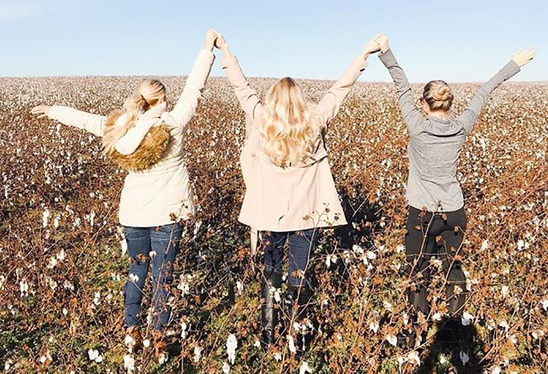 Living In High Cotton