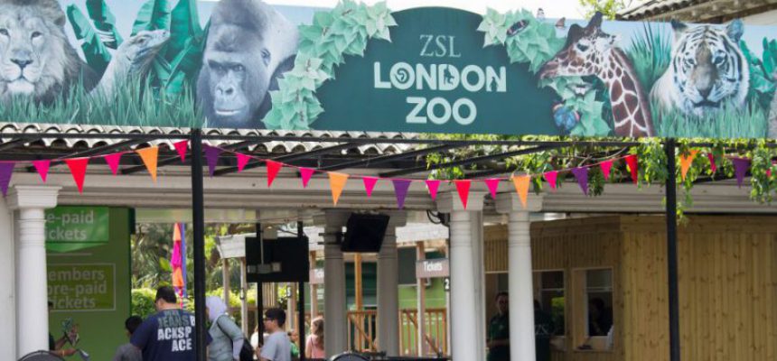 The Zoo Made A Powerful Statement With The Handbag
