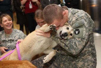 Dogs Eyes Welled Up With Tears When Reunited With Their Owners
