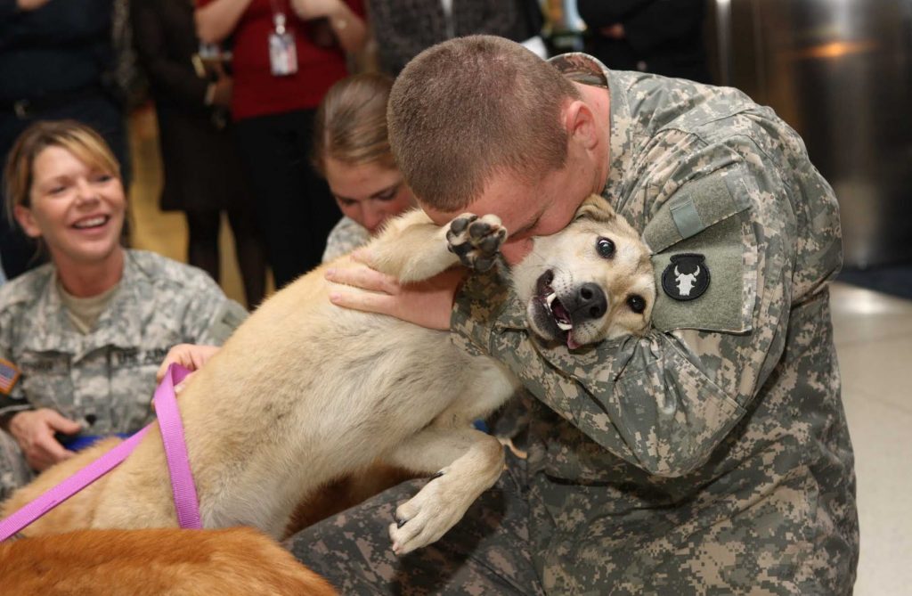Dogs Eyes Welled Up With Tears When Reunited With Their Owners