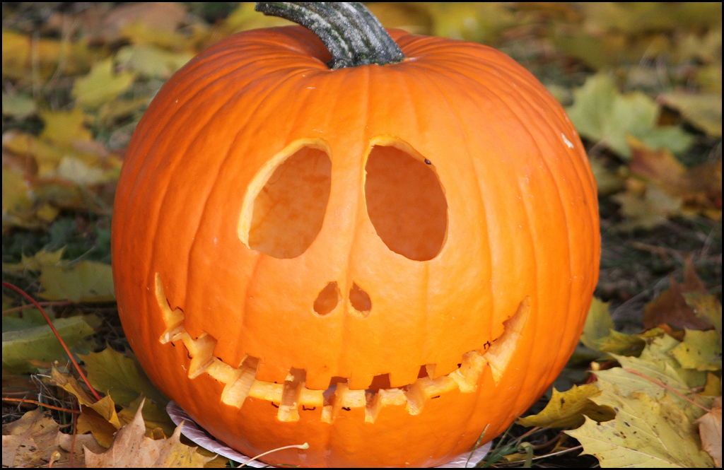 The Pumpkins' Nutrients Can Throw Off The Balance In The Soil