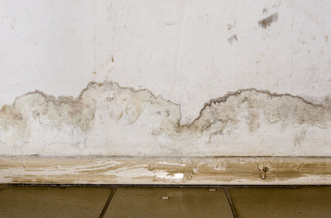 It's Important To Deal With The Underlying Cause Of The Mold If Possible