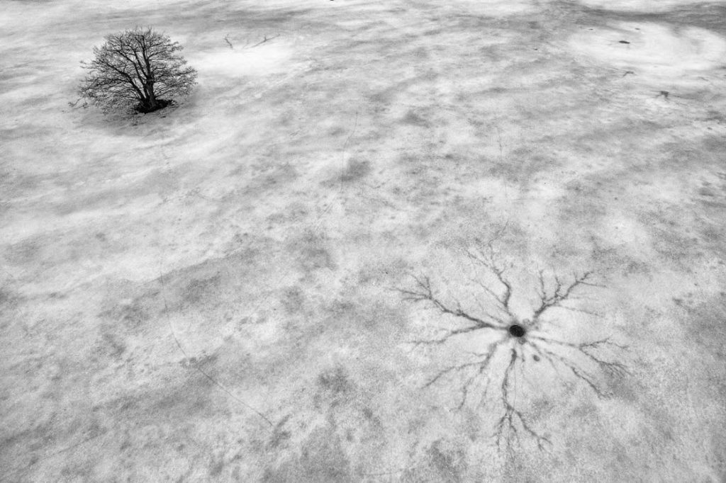 Cracks in the Ice