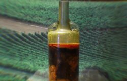 Speyer Wine Bottle From 325 BCE