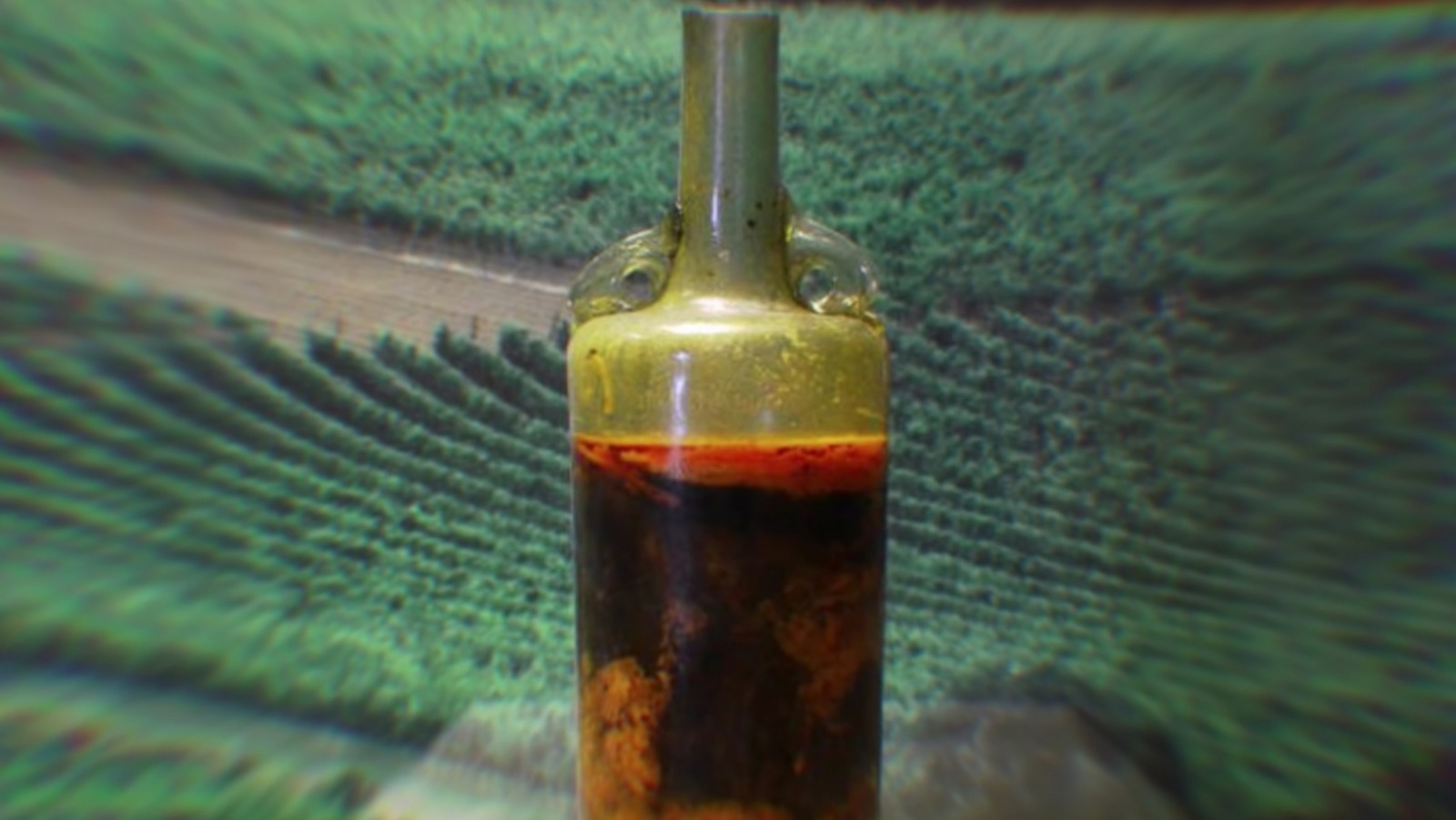 Speyer Wine Bottle From 325 BCE