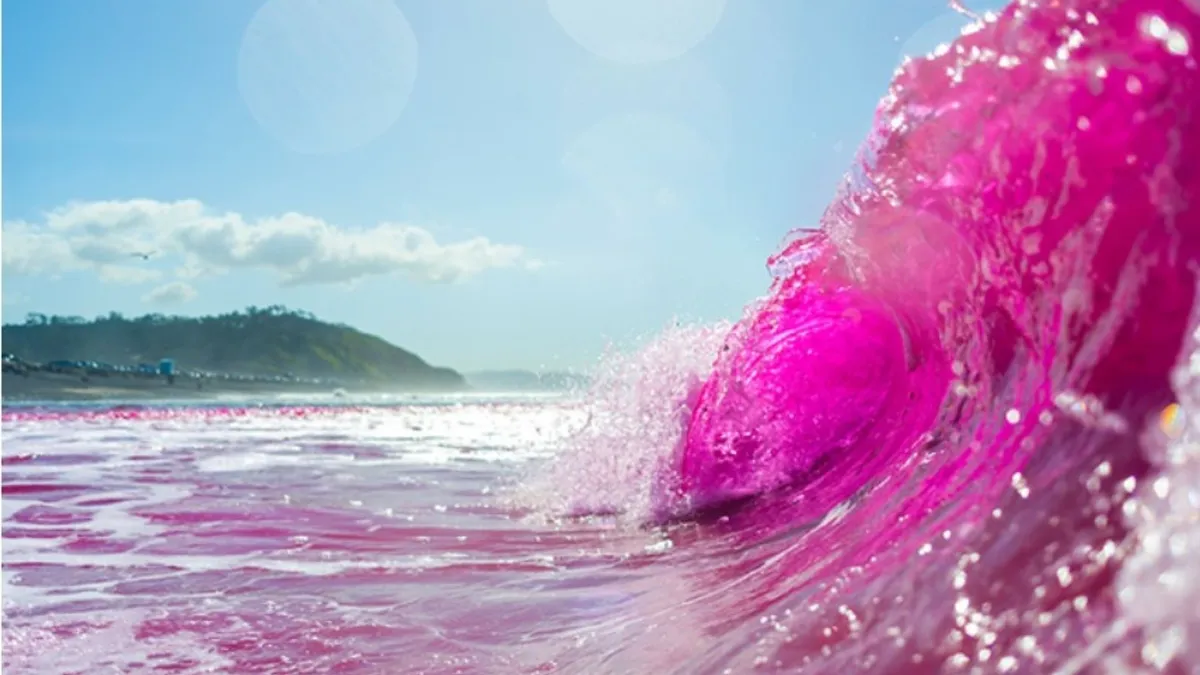 Why Are Scientists Dying The Water Pink?