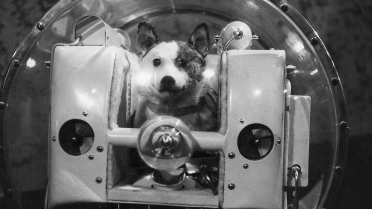 Laika, Space Dog