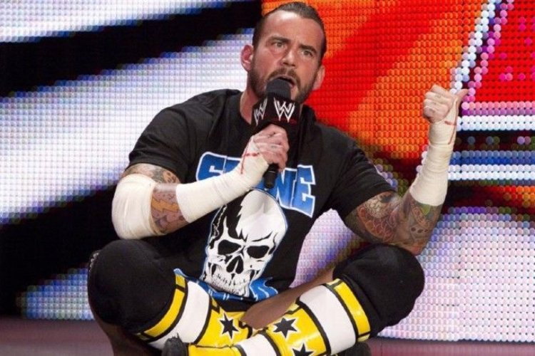 CM Punk - $8 Million