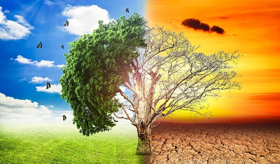Climate Change And Global Warming
