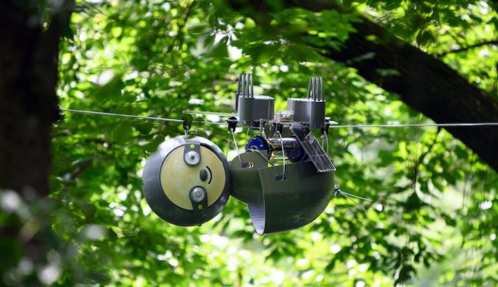Cute Robots Are Not As Fearsome For Many