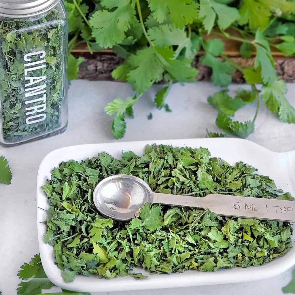 Why Some People Actually Have A Reason For Hating Cilantro