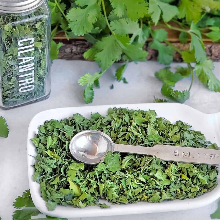 Why Some People Actually Have A Reason For Hating Cilantro